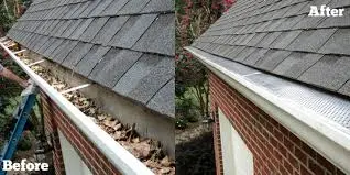 gutter cleaning